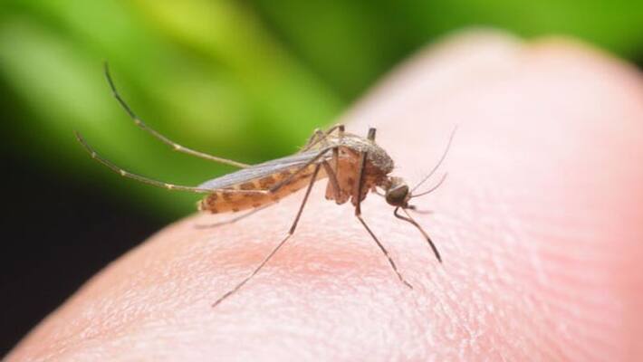 Centre convenes high-level meeting on Serotype-2 dengue cases in 11 states bpsb Centre convenes high-level meeting on Serotype-2 dengue cases in 11 states bpsb