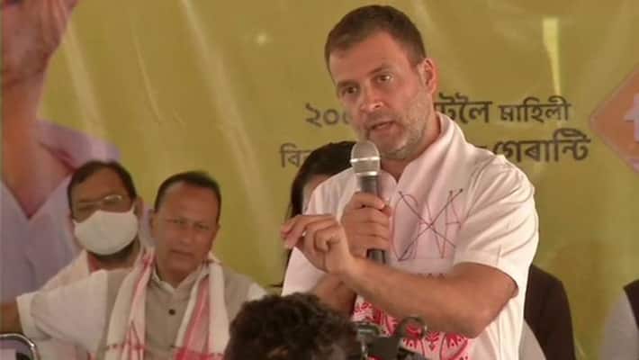 Assam assembly elections, Rahul Gandhi tour of Assam kpa Assam assembly elections, Rahul Gandhi tour of Assam kpa