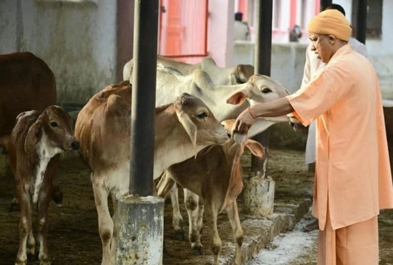 मुख्यमंत्री योगी आदित्यनाथ सबसे पहले गुरु गोरखनाथ की पूजा किए। इसके बाद महंत दिग्विजय नाथ और महंत अवेद्यनाथ की प्रतिमा के समक्ष शीश नवाया।
