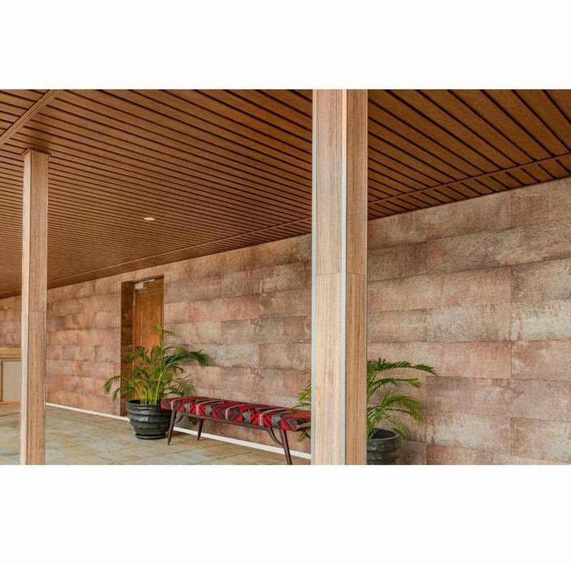 She put a beautiful wooden textured shade to her terrace and added a bench with two lush green plants giving an exotic look.
