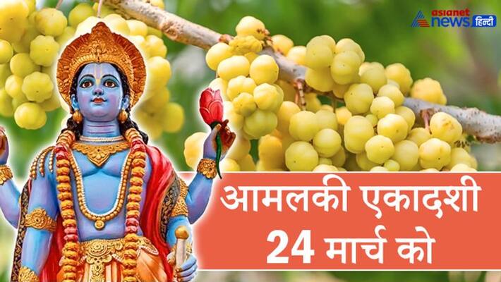 Amalaki Ekadashi on March 24: Know the fasting and worship method and remedies KPI Amalaki Ekadashi on March 24: Know the fasting and worship method and remedies KPI
