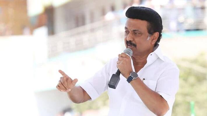 DMK Leader MK Stalin criticize OPS says pm modi is real jallikattu hero DMK Leader MK Stalin criticize OPS says pm modi is real jallikattu hero