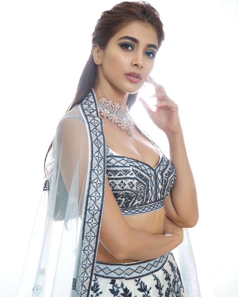 ಪೂಜಾ ರೋಹಿತ್ ಶೆಟ್ಟಿಯ ಸಿರ್ಕಸ್ ಸಿನಿಮಾದಲ್ಲಿರಣವೀರ್ ಸಿಂಗ್ ಎದುರು ಕಾಣಿಸಿಕೊಳ್ಳಲಿದ್ದಾರೆ.