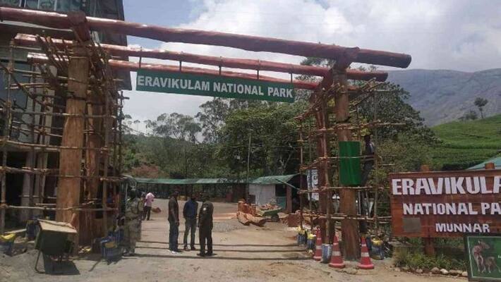 When Iravikulam and the National Park reopen, novelties waiting for the visitors When Iravikulam and the National Park reopen, novelties waiting for the visitors