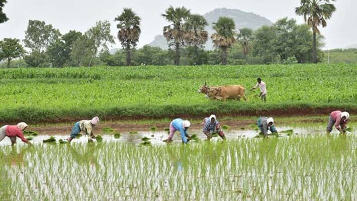 no subsidy farm loan for farmers who gets 10 year interest discount snr no subsidy farm loan for farmers who gets 10 year interest discount snr