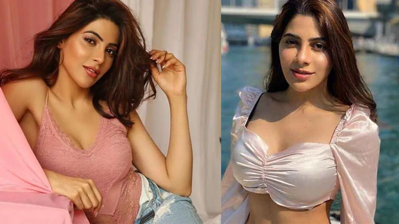 निक्की तम्बोली के वर्क फ्रंट की बात करें तो वो 'बिग बॉस 14' के टॉप तीन फाइनलिस्ट में से एक थीं। शो खत्म होने के बाद से ही वे लगातार कई म्यूजिक वीडियो की शूटिंग में बिजी हैं। बिग बॉस में आने से पहले निक्की 'कंचना 3' और 'थिप्परा मिसम' जैसी साउथ की फिल्मों में नजर आ चुकी हैं।