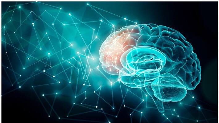 three healthy foods for brain three healthy foods for brain