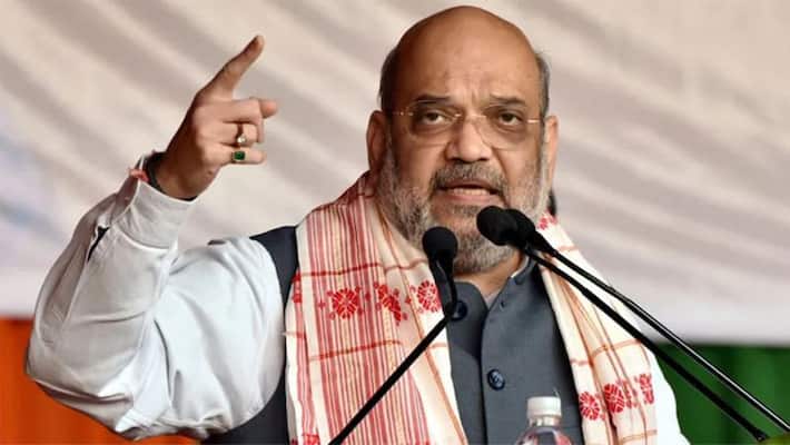 Prashant Kishor wanted to join BJP but we refused: Amit Shah-dbr Prashant Kishor wanted to join BJP but we refused: Amit Shah-dbr