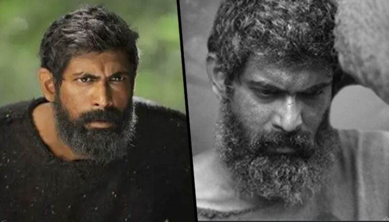 <p>ನಟ ರಾಣಾ ದಗ್ಗುಬಾಟಿ ಅವರು ಫಿಲ್ಮ್ಫೇರನ್ನು ಟ್ರೋಲ್ ಮಾಡಿದ್ದಾರೆ.</p>