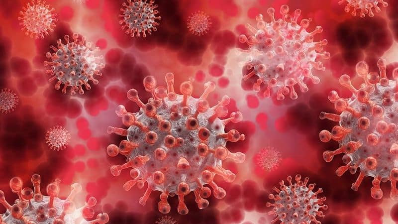 Corona virus Today crossed above 2 thousand positive cases