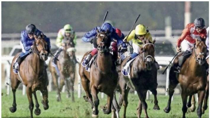 Dubai World Cup to begin today Dubai World Cup to begin today