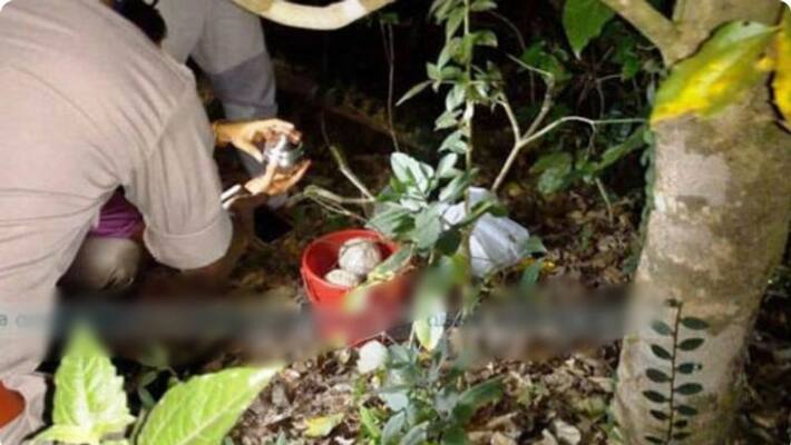 six bomb found near mahe railway station six bomb found near mahe railway station