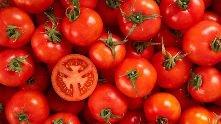 Add tomato puree in your kids diet to increase kids health and it good for skin ABSC Add tomato puree in your kids diet to increase kids health and it good for skin ABSC