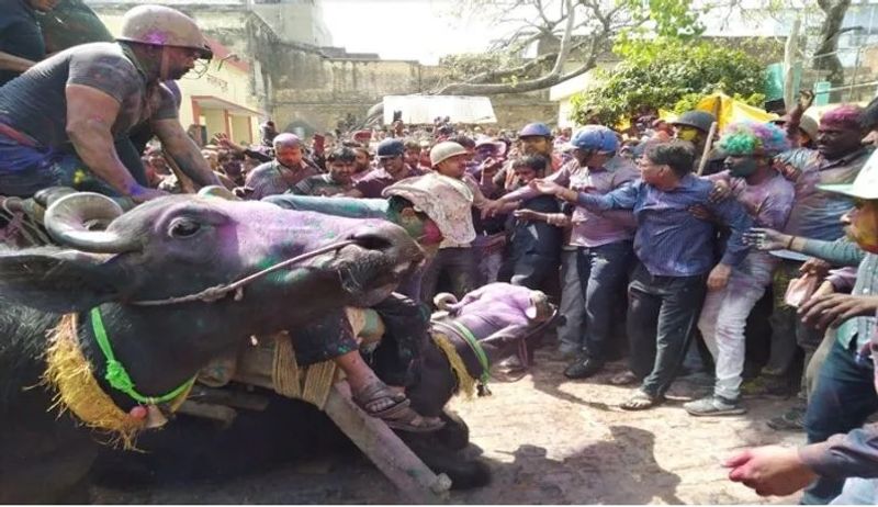 इस बार भी भीड़ को कंट्रोल करने के लिए भारी पुलिस बल को अभी से ही तैनात कर दी गई है। इसके लिए पीस कमेटी की बैठकें भी हो रही हैं। साथ ही सेक्टर मजिस्ट्रेट की तैनाती कर दी गई है।(फाइल फोटो)