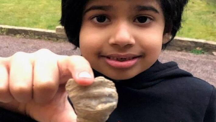 Boy found 488 million year old fossil ? Boy found 488 million year old fossil ?