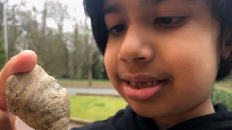 Boy found 488 million year old fossil ?