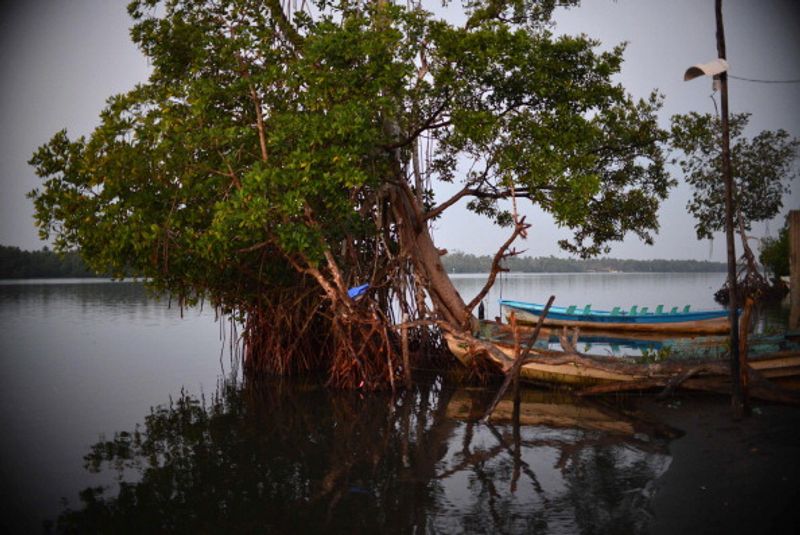 എന്നാല്, ആ സമയത്ത് കടലിൽ കൊടങ്കാറ്റുണ്ടായി. അത് നീണ്ടുനിന്നത് അഞ്ച് ദിവസമാണ്. ആ കാറ്റില് അവരുടെ ബോട്ടിലെ മോട്ടോര് അടക്കം പലതും തകരാറിലായി. 500 കിലോഗ്രാം മത്സ്യങ്ങളെ അവർ പിടികൂടിയിരുന്നു, മോശം കാലാവസ്ഥയിൽ ബോട്ട് കൈകാര്യം ചെയ്യാനായി അതിനെ ഉപേക്ഷിക്കാന് അവര് ഇരുവരും നിർബന്ധിതരായി. റേഡിയോയുടെ ബാറ്ററിയുടെ ചാർജ്ജ് തീരുന്നതിന് മുമ്പ് ആല്വരിംഗ തന്റെ ബോസിനെ വിളിച്ച് സഹായം അഭ്യർത്ഥിച്ചു. കപ്പലുകളോ, നങ്കൂരമോ, ലൈറ്റുകളോ, കരയുമായി ബന്ധപ്പെടാൻ മറ്റ് വഴികളോ ഇല്ലാത്തതിനാൽ, ബോട്ട് തുറന്ന സമുദ്രത്തിലൂടെ സഞ്ചരിക്കാൻ തുടങ്ങി. കൊടുങ്കാറ്റിൽ മത്സ്യബന്ധന ഉപകരണങ്ങളുടെ ഭൂരിഭാഗവും നഷ്ടപ്പെടുകയോ കേടുപാടുകൾ സംഭവിക്കുകയോ ചെയ്തു. ഒടുവില്, ആല്വരിംഗയും കോര്ഡോബയും വിരലിലെണ്ണാവുന്ന അടിസ്ഥാന സാധനങ്ങളും ഭക്ഷണവും മാത്രം കപ്പലിൽ അവശേഷിച്ചു.