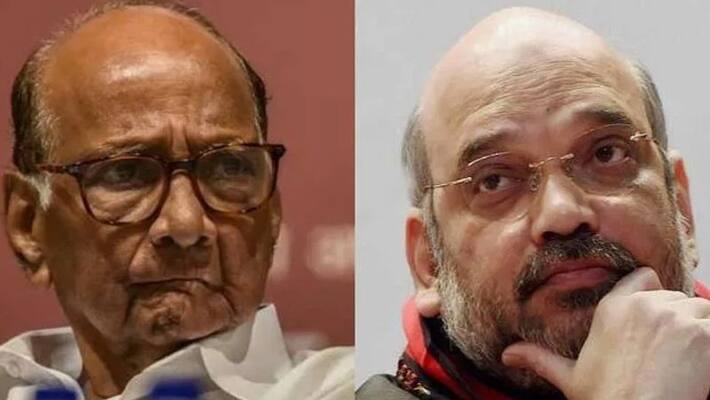 Everything can't be made public: Amit Shah on meeting NCP chief Sharad Pawar-dnm Everything can't be made public: Amit Shah on meeting NCP chief Sharad Pawar-dnm