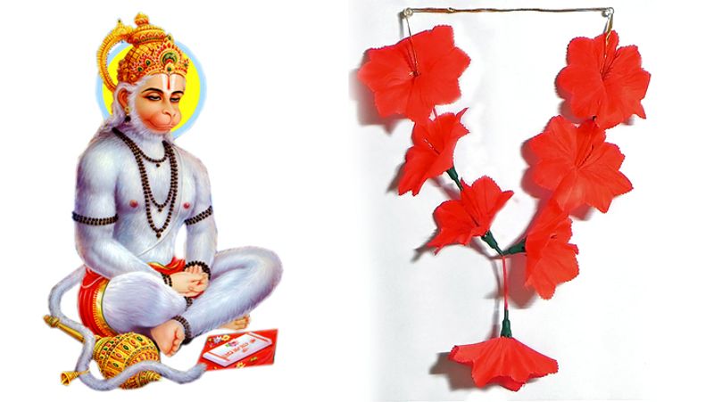 6. सूर्य की मजबूती के लिए हनुमानजी को प्रत्येक मंगलवार को गुड़हल के फूलों की माला अर्पित करें।
