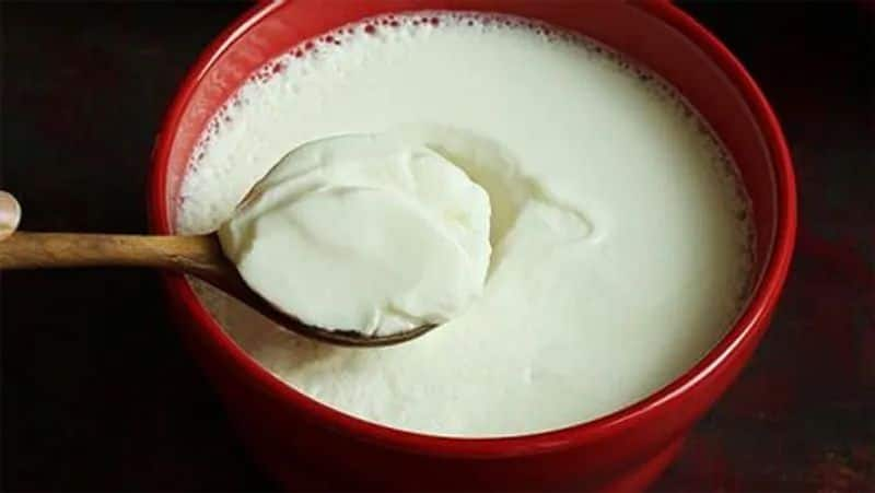 Weight loss: Consuming curd every day can help you shed pounds