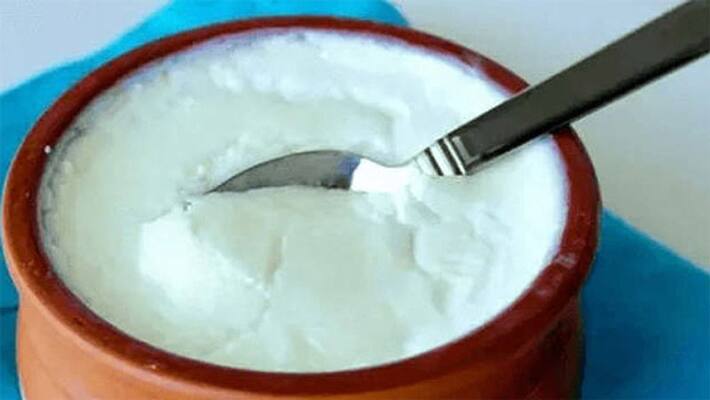 Eat curd daily to lose weight and get a flat belly Eat curd daily to lose weight and get a flat belly