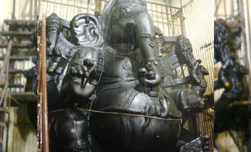 यहां के लोग इन भगवान को आरोग्य देवता भी कहते हैं। कहा जाता है कि जो भी यहां किसी भी रोग को हरने की सच्चे मने से प्रार्थना लेकर आता है उसके सारे कष्ट दूर हो जाते हैं। यहां कालसर्प दोष और बीमारियों से मुक्ति पाने के लिए विशेष पूजा की जाती है। मन्नत पूरी होने पर श्रद्धालू यहां आते हैं।