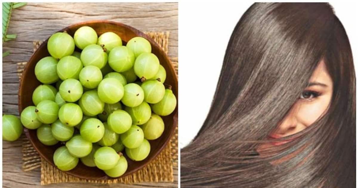 Hair loss prevention Amla: எலி வால் போல் இருக்கும் முடியை...அசுரவேகத்தில் வளர வைக்க 3 நெல்லிக்காய் போதும்..!