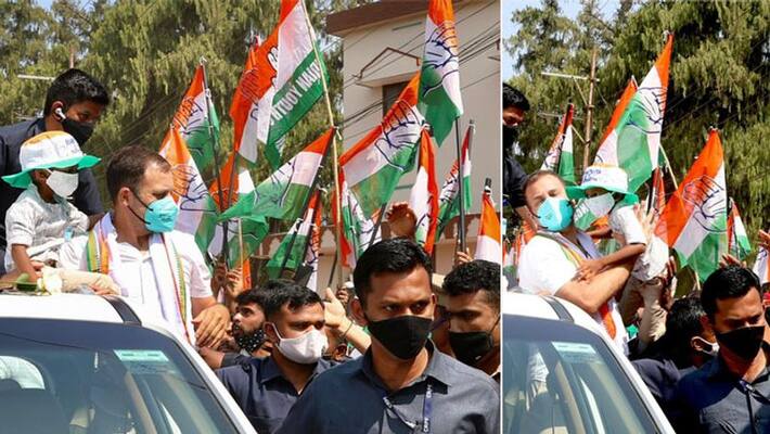 Kerala assembly elections, Rahul Gandhi many election programs today kpa Kerala assembly elections, Rahul Gandhi many election programs today kpa