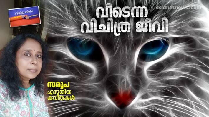 vaakkulsavam malayalam poems by saroopa vaakkulsavam malayalam poems by saroopa