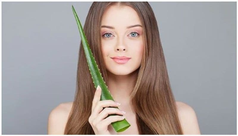 Oatmeal hair pack
All you need for this pack is a cup of oatmeal, 2 cups of water and 1 tablespoon of aloe vera gel. Now soak the oatmeal in water and rest it for some time. Grind it in a smooth paste along with aloe vera gel. Apply it 45 minutes before you shower.