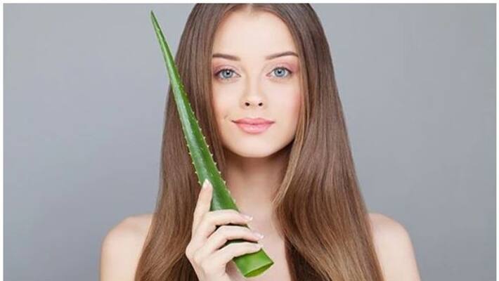two ways to use Aloe Vera Gel for Hair two ways to use Aloe Vera Gel for Hair