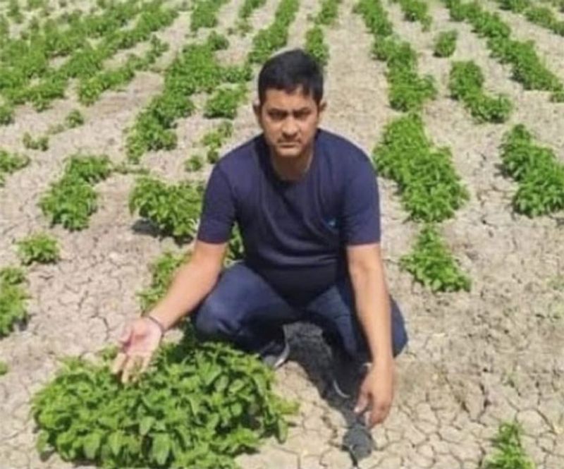 न्यू इंडियन एक्सप्रेस की एक खबर में बताया गया था कि, किसान अमरेश सिंह ने मीडिया को बताया कि मुझे यह कहते हुए खुशी हो रही है कि हॉप शूट्स की 60 प्रतिशत से अधिक खेती सफल रही है। अमरेश सिंह ने प्रधानमंत्री मोदी से भी एक अपील की। उन्होंने कहा कि यदि पीएम मोदी हॉप-शूट्स की खेती को बढ़ावा देने के लिए विशेष व्यवस्था करते हैं तो कुछ वर्षों में किसानों को कृषि के अन्य माध्यमों के मुकाबले 10 गुना अधिक कमाई होगी। सिंह बताते हैं कि हॉप-शूट्स की खेती ब्रिटेन, जर्मनी समेत अन्य यूरोपीय देशों में की जाती है। भारत में पहले हिमाचल प्रदेश में इसकी खेती होती थी, लेकिन कीमत अधिक होने के कारण इसकी मार्केटिंग ठीक से नहीं हो पाई और बाद में खेती बंद हो गई।
