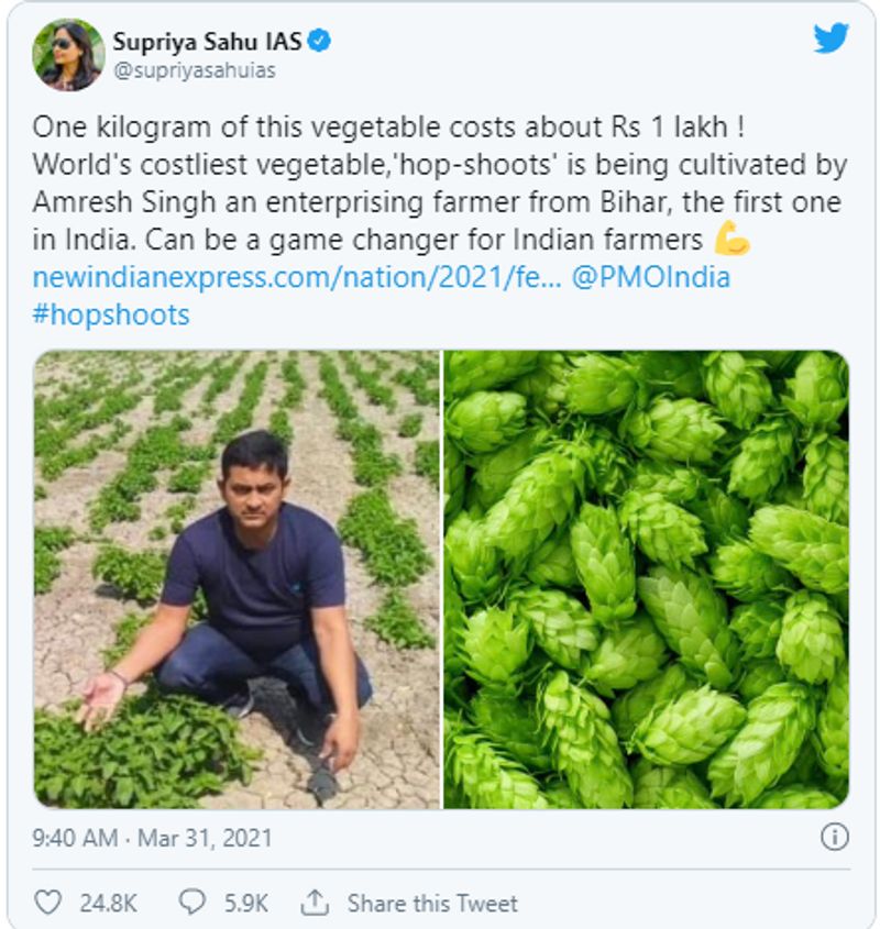 वायरल पोस्ट क्या है?
आईएएस अधिकारी सुप्रिया साहू ने एक न्यूज क्लिप और फसलों की तस्वीर के साथ एक ट्वीट किया, "इस सब्जी के एक किलोग्राम की कीमत लगभग 1 लाख है ... भारतीय किसानों के लिए गेम-चेंजर हो सकती है," उन्होंने अपने ट्वीट में लिखा। इस ट्वीट को 24,000 से अधिक "लाइक" मिले और 5,000 से अधिक बार रीट्वीट किया गया।