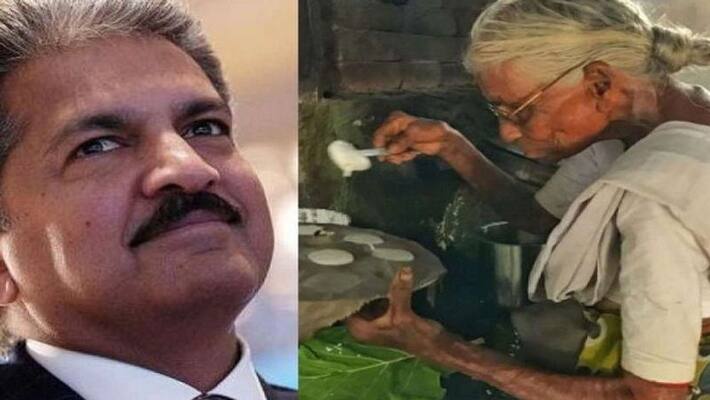 Anand Mahindra reveals Tamil Nadu Idli Amma will soon have her own house ckm Anand Mahindra reveals Tamil Nadu Idli Amma will soon have her own house ckm