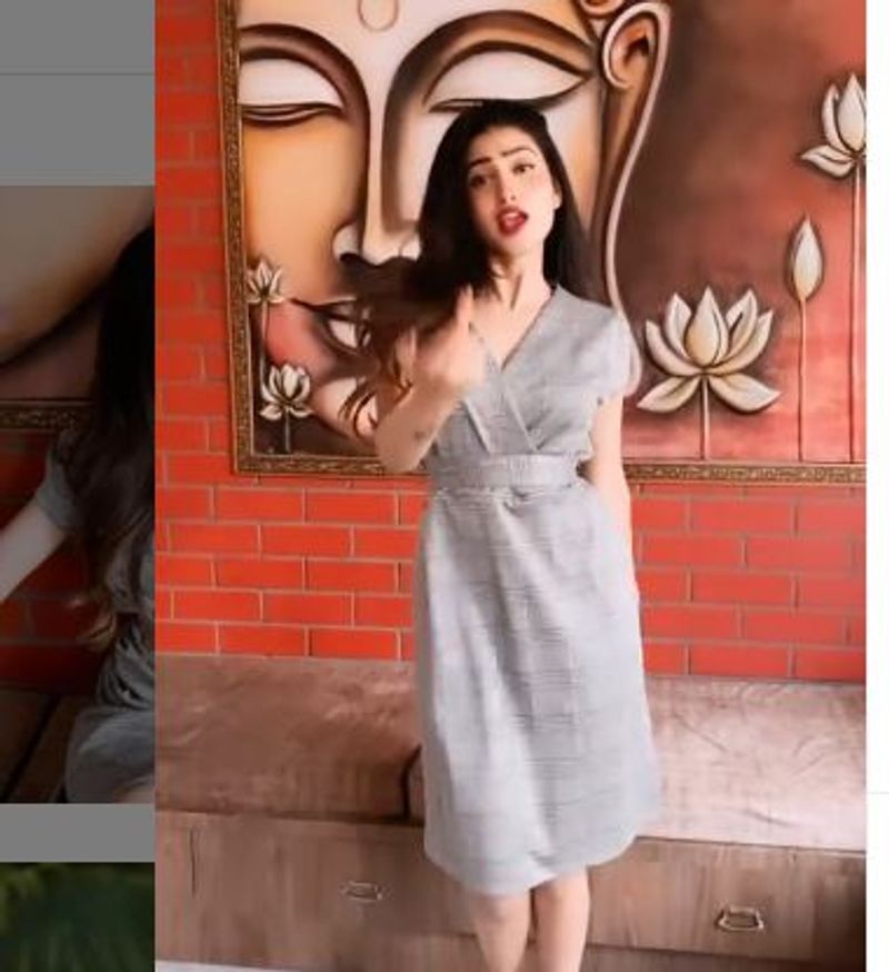 సంతోష్ నారాయణ్ సాంగ్ కి అదిరిపోయే స్టెప్పులేసిందీ భామ.