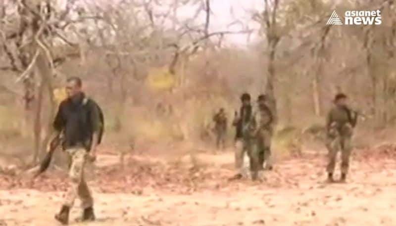 how did the armed forces men fall in the trap laid by maoists in Chattisgarh