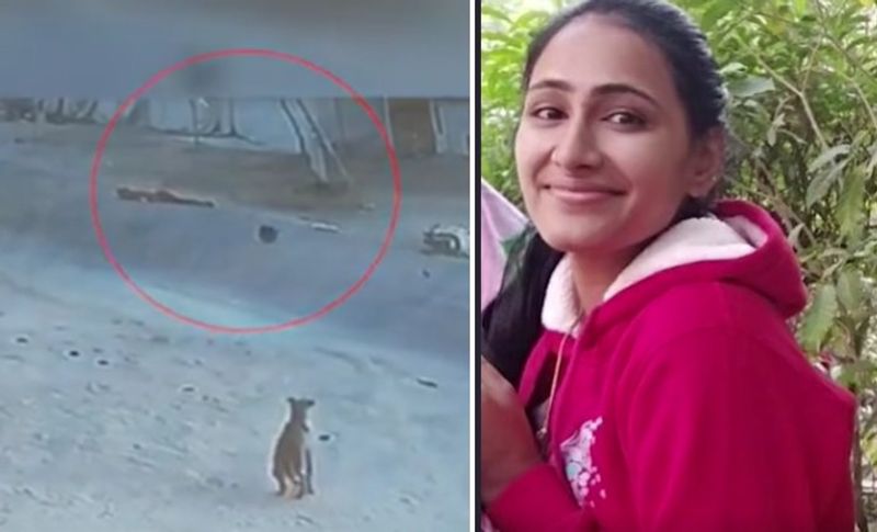 बता दें कि मोना पढ़ने में बहुत होशियार थीं, उनको कई सरकारी नौकरी का ऑफर मिला हुआ था। वह वर्तमान में राजकीय उच्च प्राथमिक विद्यालय गोवा खुर्द में कार्यरत थीं। इससे पहले वो पटवारी की नौकरी कर चुकी थीं। साथ ही वो आरएएस की तैयारी कर रही थीं। 