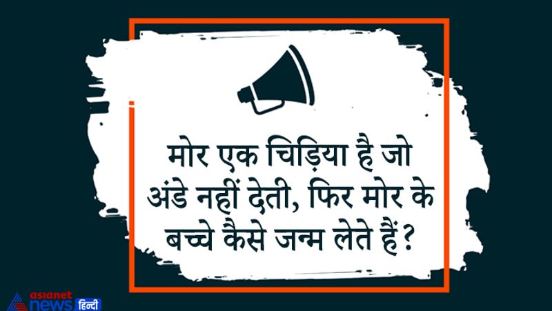 सवाल– मोर एक चिड़िया है जो अंडे नहीं देती, फिर मोर के बच्चे कैसे जन्म लेते हैं?
उत्तर – अंडे मोरनी देती है।
