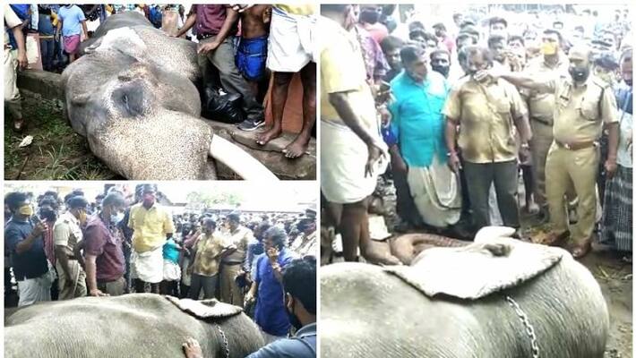 Ambalappuzha Vijayakrishnan died Ambalappuzha Vijayakrishnan died