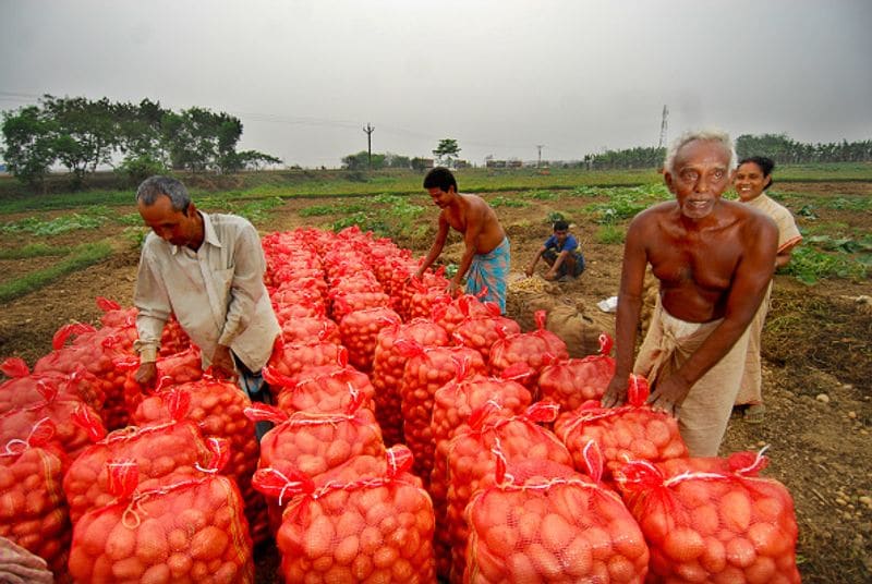 <p style="text-align: justify;">খুশি সিঙ্গুর</p>
<p style="text-align: justify;">গ্রামবাসীদের একাংশ ইতিমধ্যেই তাঁদের জমি ফিরে পেয়েছেন। সেই জমিতে আলু এবং ধানের চাষও শুরু করেছেন। তাঁরা বলছেন, তাঁরা কৃষক। শিক্ষিত নন বলে কৃষিকাজ ছাড়া আরকিছু তাঁরা করতে পারবেন না । তাই সিঙ্গুরে কারখানা না হয়ে জমি ফেরত দেওয়া হয়েছে এবং ও কৃষিকে গুরুত্ব দেওয়া হয়েছে বলে তাঁরা খুশি। তবে এই সংখ্যাটা দিন দিন কমছে। এই মতাবলম্বীরা অধিকাংশই পৌঢ়।</p>
<p style="text-align: justify;"> </p>