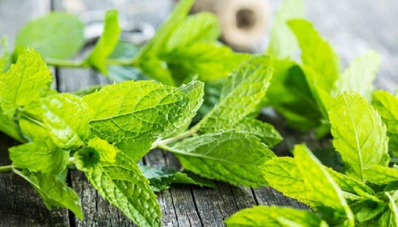 four mint drinks which can improve immunity in summer