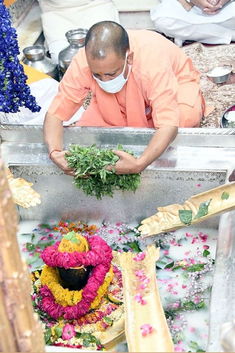 यूपी में 11 अप्रैल से 14 अप्रैल तक टीकाकरण उत्सव मनाया जाएगा। इसमें सभी जिलों में सरकारी व निजी कार्यालयों में स्वास्थ्य विभाग की टीम जाकर 45 पार लोगों को टीका लगाएगी।