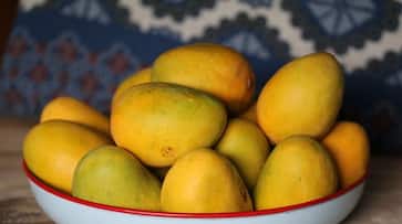Major boost to farmers incomes: Different varieties of mangoes exported to Bahrain from West Bengal, Bihar