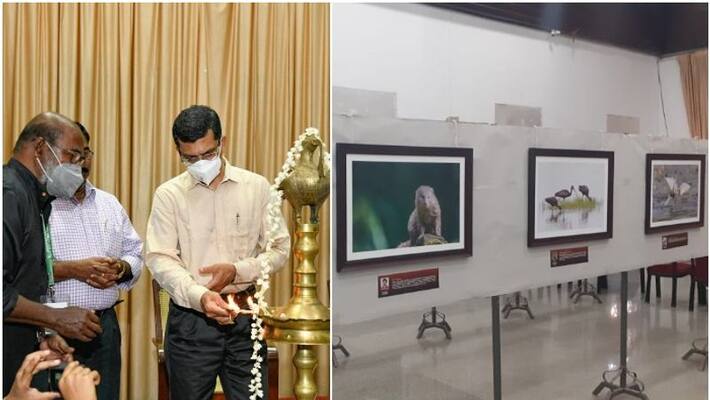 wild life photography exhibition started at Thiruvananthapuram wild life photography exhibition started at Thiruvananthapuram