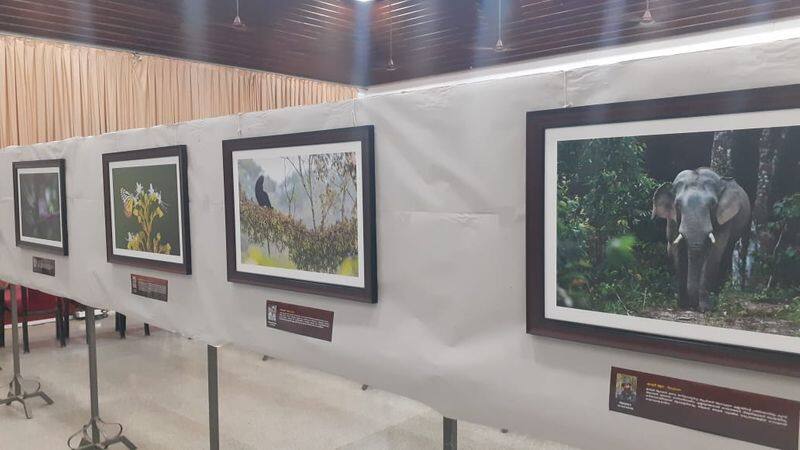 wild life photography exhibition started at Thiruvananthapuram