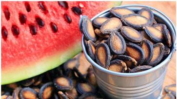 health benefits water melon seed health benefits water melon seed