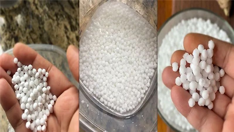 साबूदाने की खिचड़ी बनाने के लिए इसे रात भर भिगो कर रखें। बहुत सारे लोग केवल 4 घंटे या 6 घंटे के लिए इसे भिगोते है। लेकिन, यदि आप इसे रात भर भिगोते हैं, तो ये और ज्यादा स्वादिष्ट बनती है।