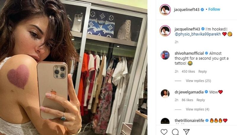 Jacqueline Fernandez's net worth, income will leave you stunned; here are some of her expensive items RCB