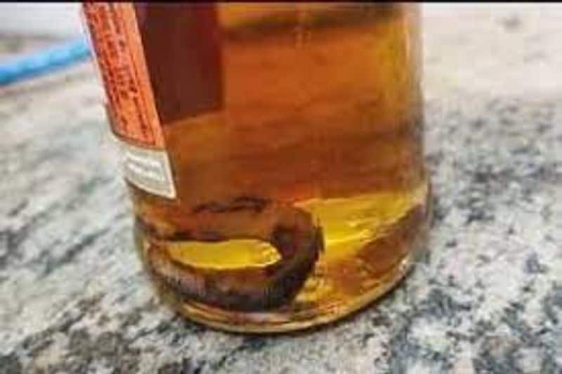 Shocking a snake found in liquor bottle  at ariyalur
