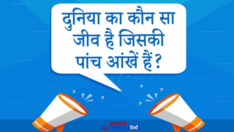 सवाल: दुनिया का कौन सा जीव है जिसकी पांच आंखें हैं?
जवाब: इस सवाल का जवाब क्या होगा आप सोच में पड़ गए होंगे। लेकिन इस सवाल का जवाब है मधुमक्खी।